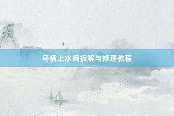 马桶上水阀拆解与修理教程
